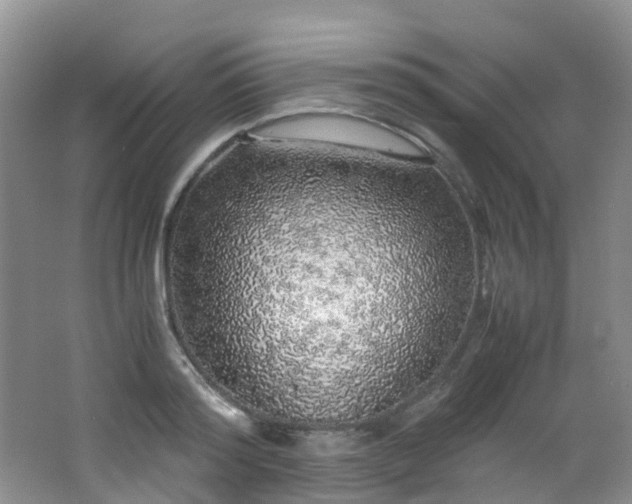X0000062800796200512221403
