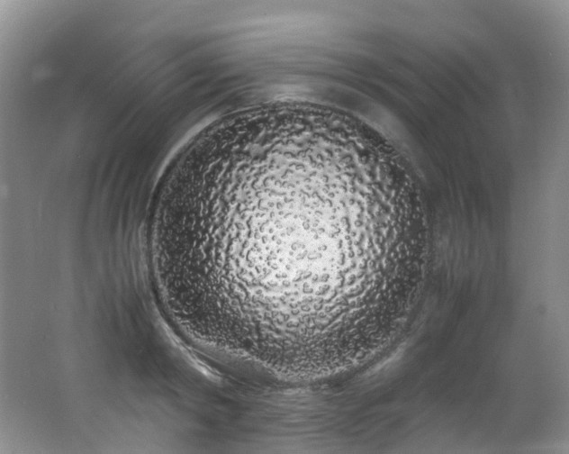 X0000062800798200512221403