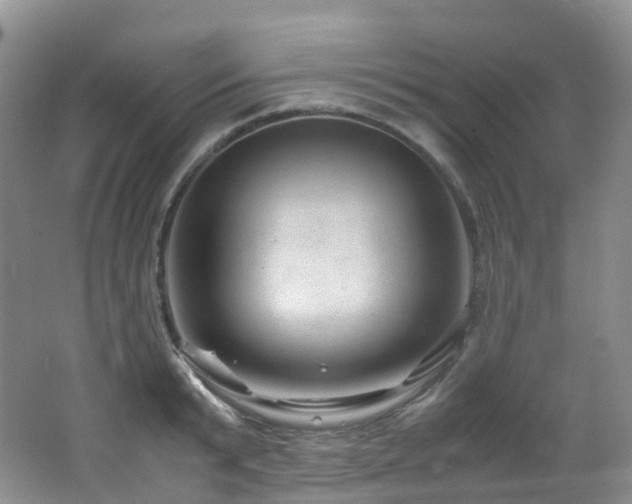 X0000062800799200512221403