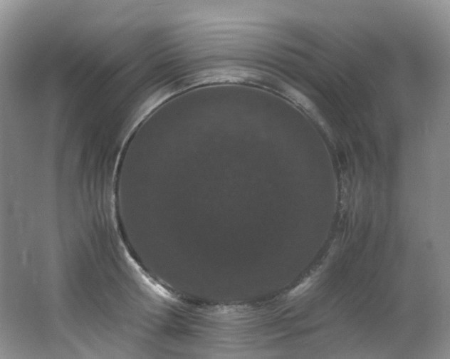 X0000062800802200512221403