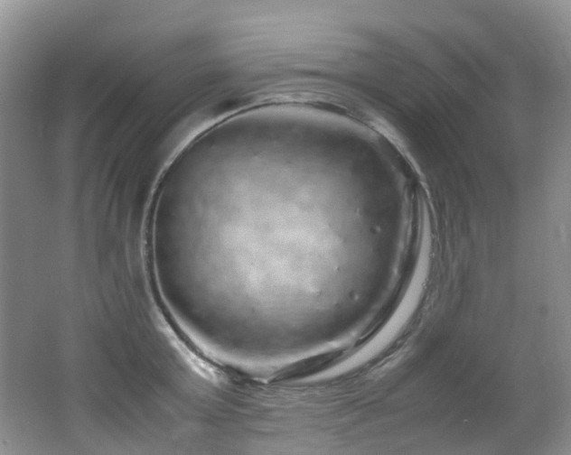 X0000062800803200512221403