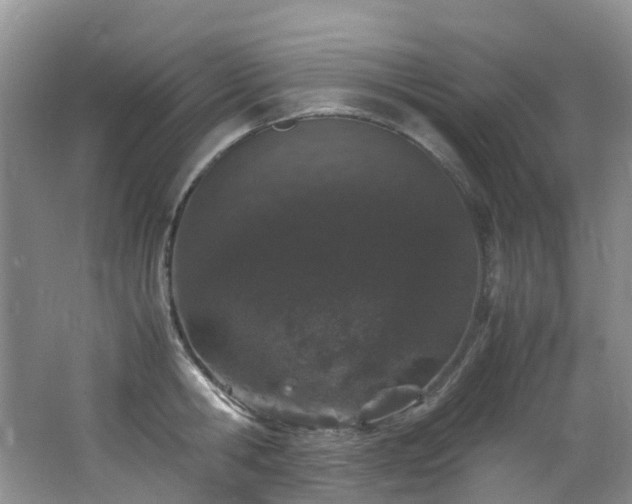 X0000062800806200512221403