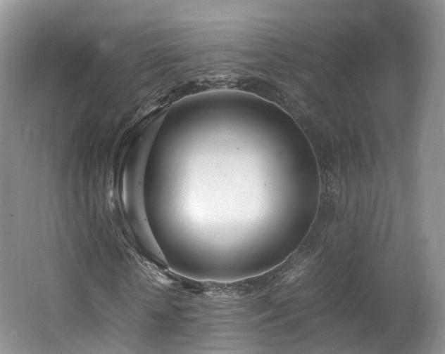 X0000062800818200512221402