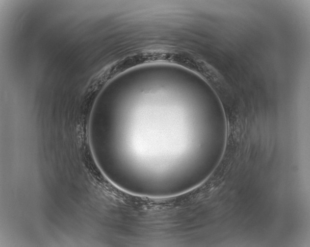 X0000062800821200512221402