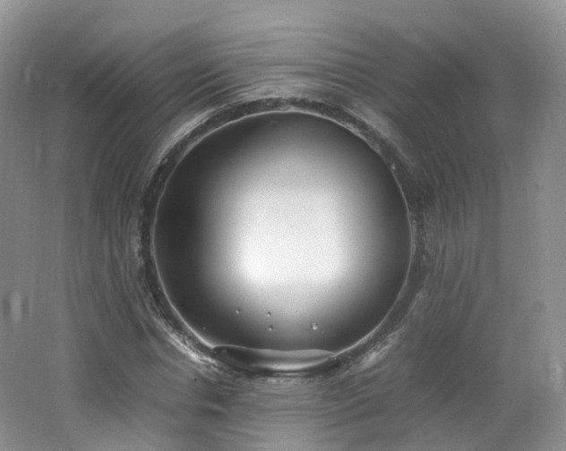 X0000062800826200512221402