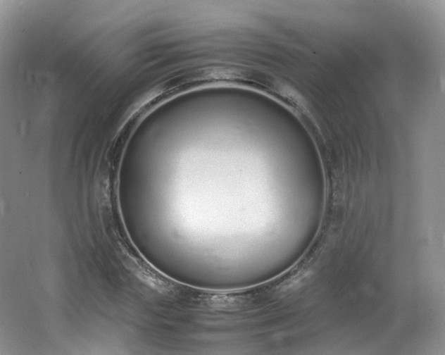 X0000062800827200512221402