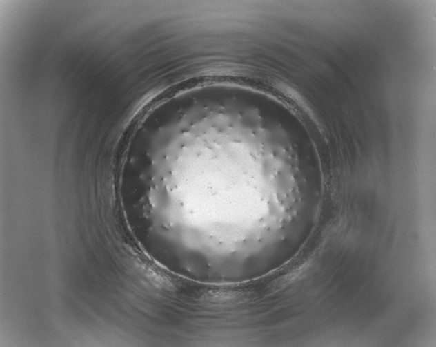 X0000062800829200512221402