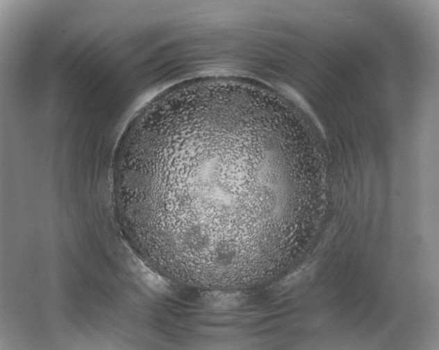 X0000062800831200512221402