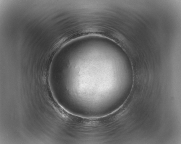 X0000062800833200512221402