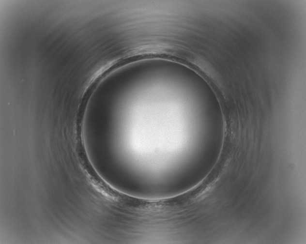 X0000062800834200512221402
