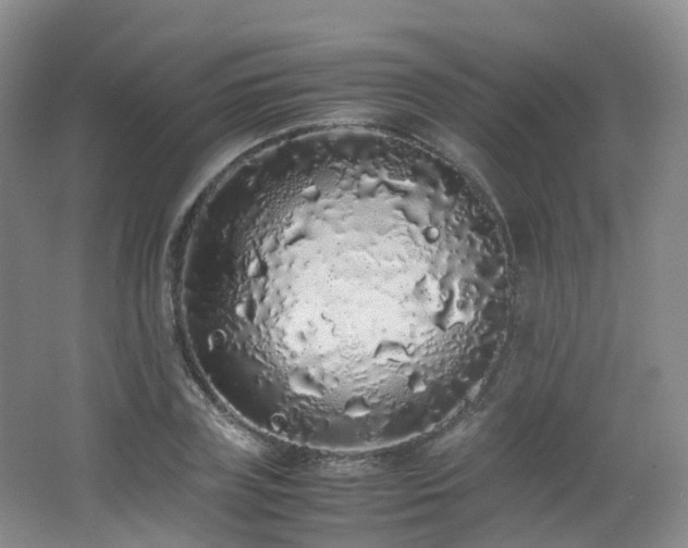 X0000062800835200512221402