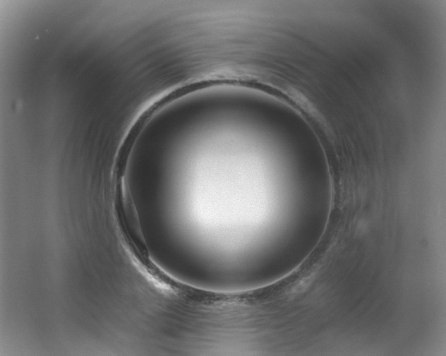 X0000062800838200512221402