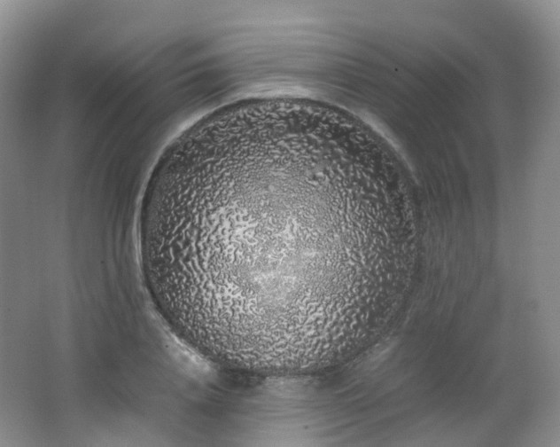 X0000062800840200512221402