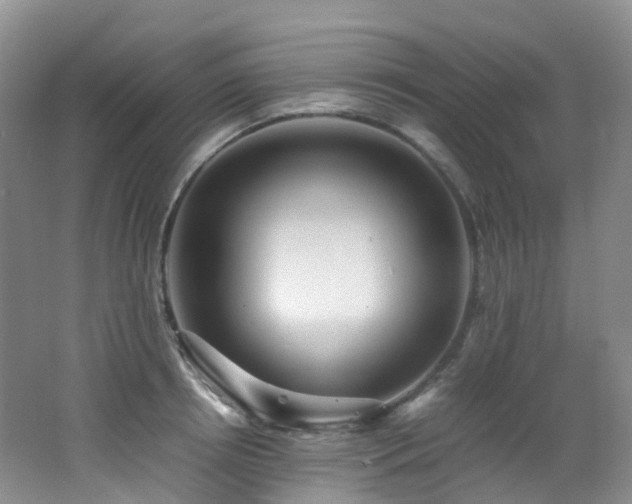 X0000062800850200512221402