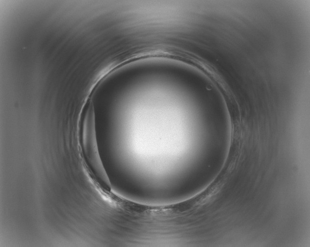 X0000062800858200512221402