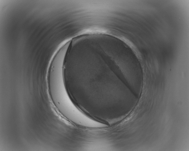 X0000062800864200512221402