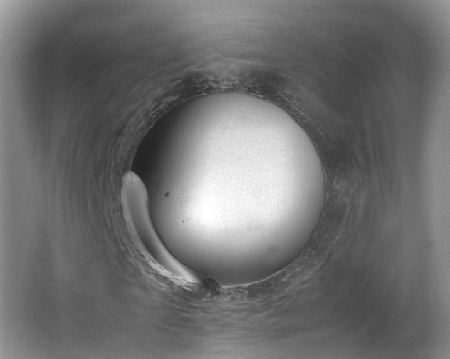 X0000062800865200512221402