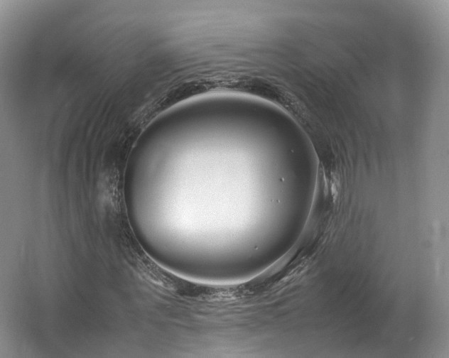 X0000062800867200512221401