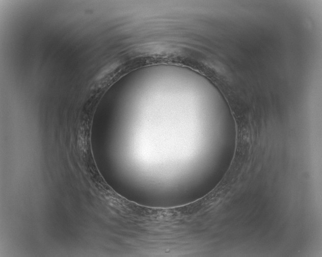 X0000062800869200512221401