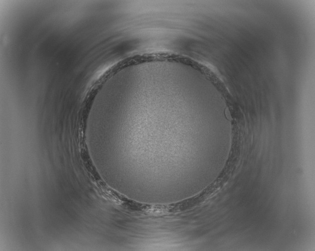 X0000062800871200512221401