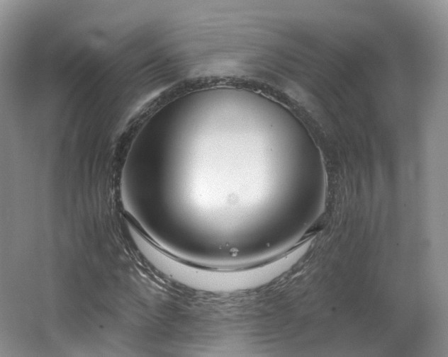 X0000062800872200512221401