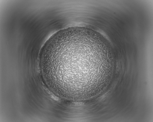 X0000062800878200512221401
