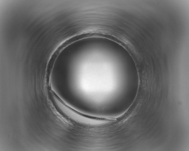 X0000062800880200512221401
