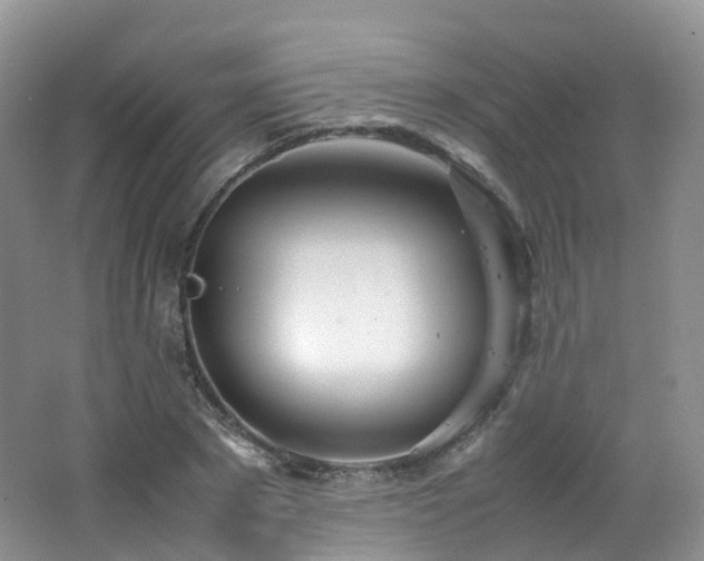 X0000062800881200512221401