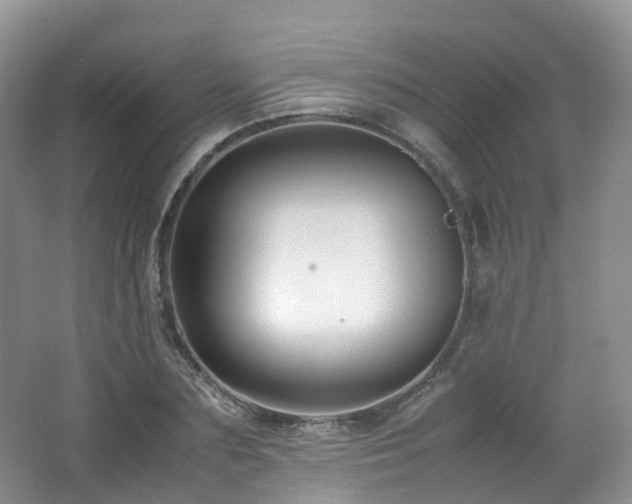 X0000062800883200512221401