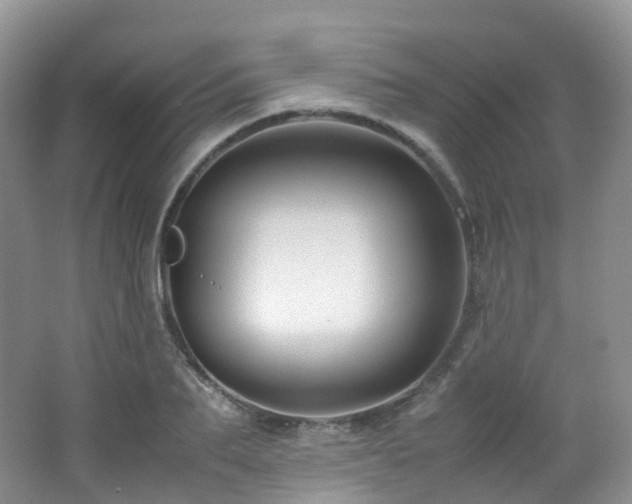 X0000062800887200512221401
