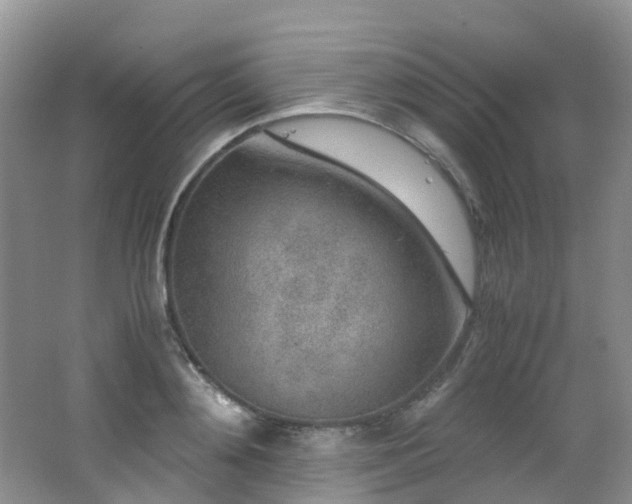 X0000062800892200512221401