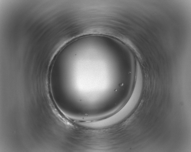 X0000062800896200512221401