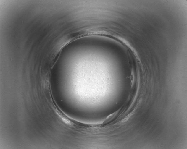 X0000062800897200512221401