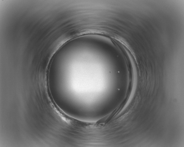 X0000062800898200512221401