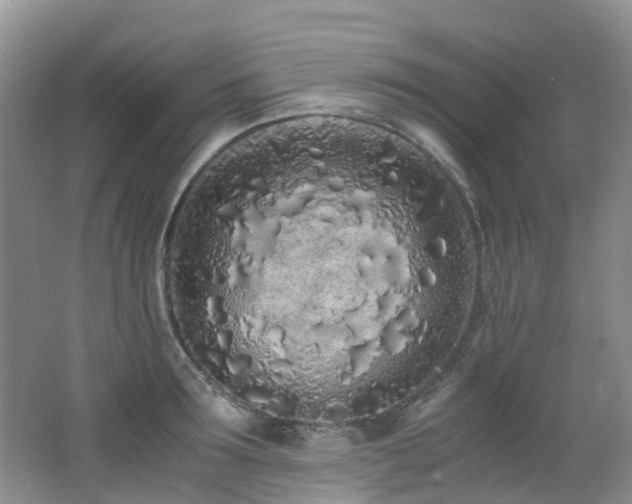 X0000062800899200512221401