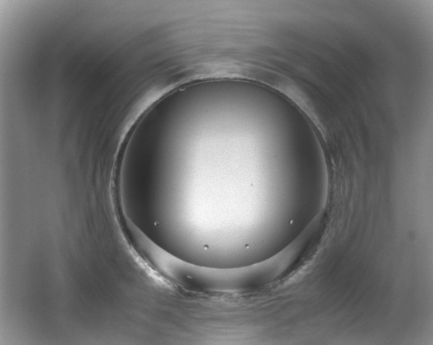 X0000062800901200512221401