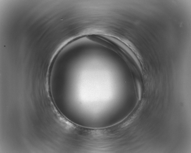 X0000062800904200512221401