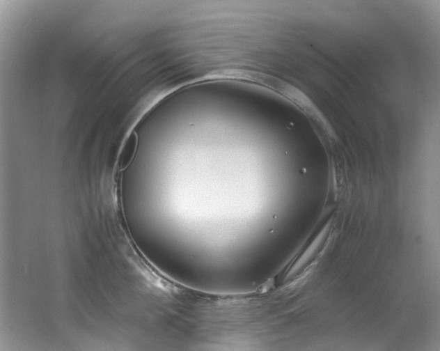 X0000062800908200512221401