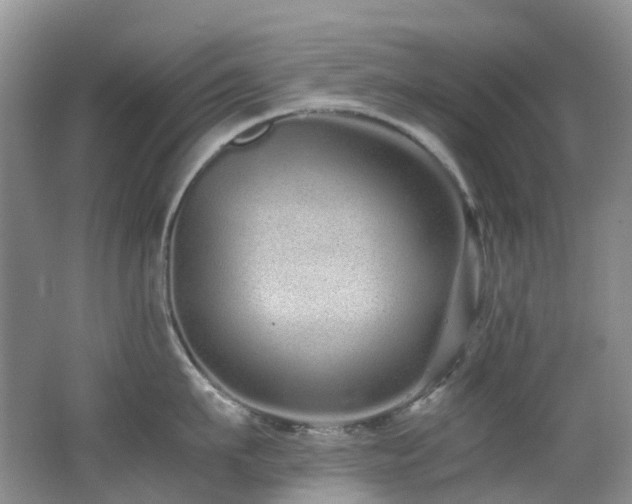 X0000062800911200512221401