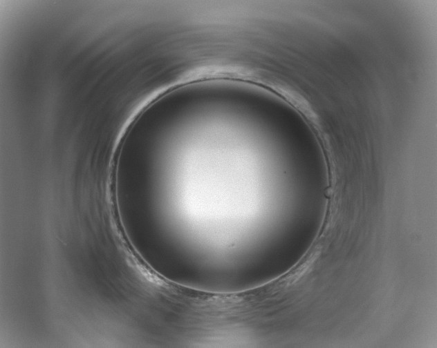 X0000062800912200512221401