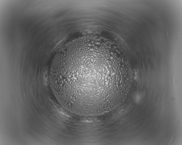 X0000062800915200512221400