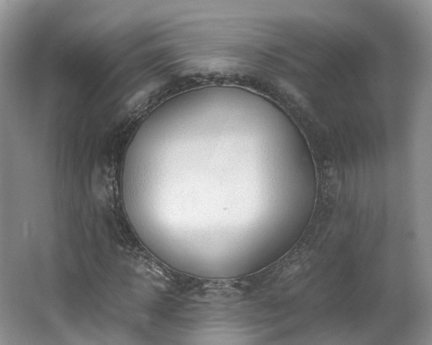 X0000062800918200512221400