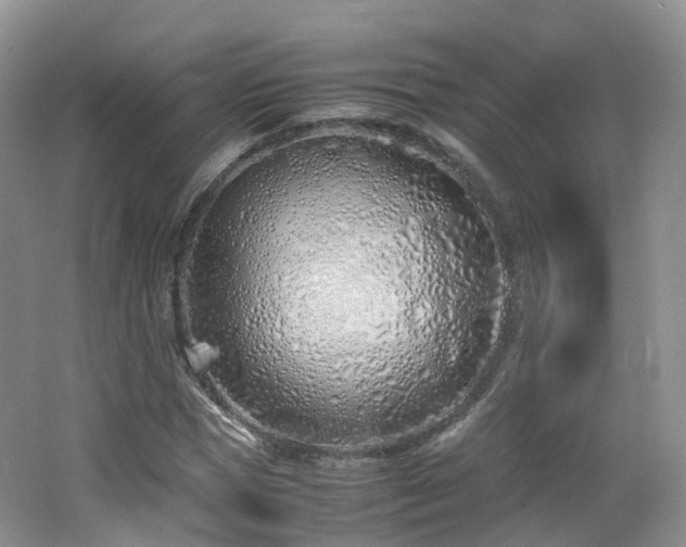X0000062800921200512221400