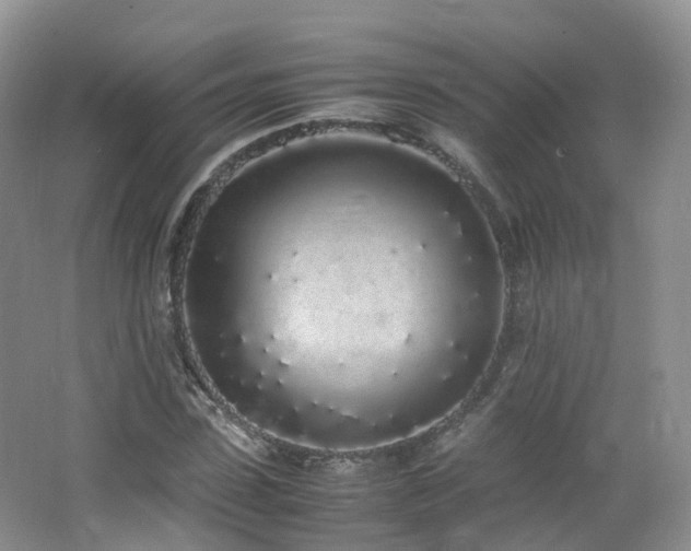 X0000062800923200512221400