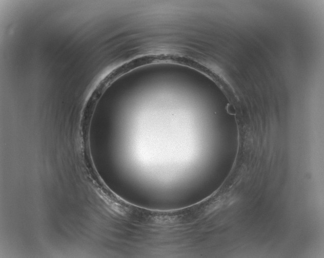 X0000062800927200512221400