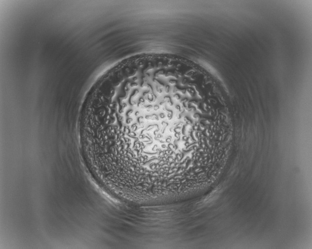 X0000062800935200512221400