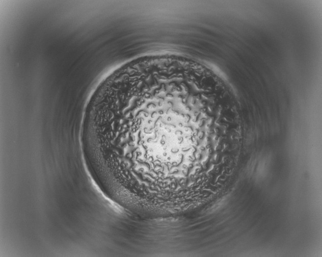 X0000062800943200512221400