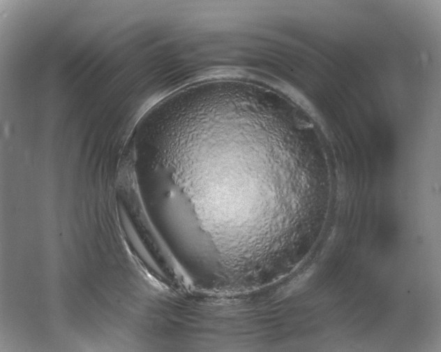 X0000062800953200512221401