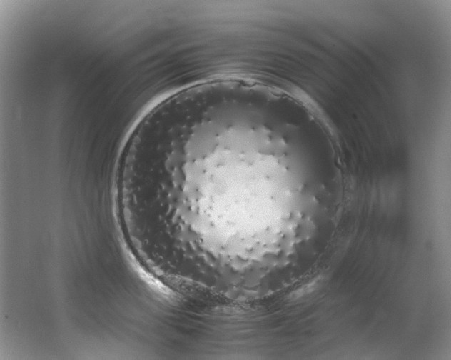 X0000062800955200512221401