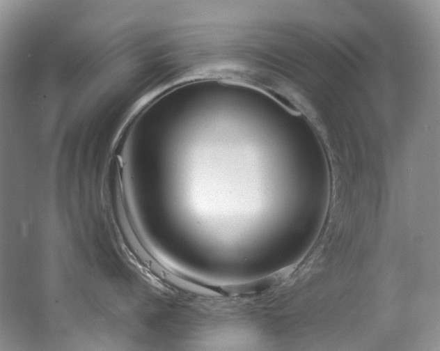 X0000062800960200512221401